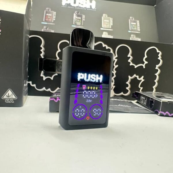 push 2g disposable with screen