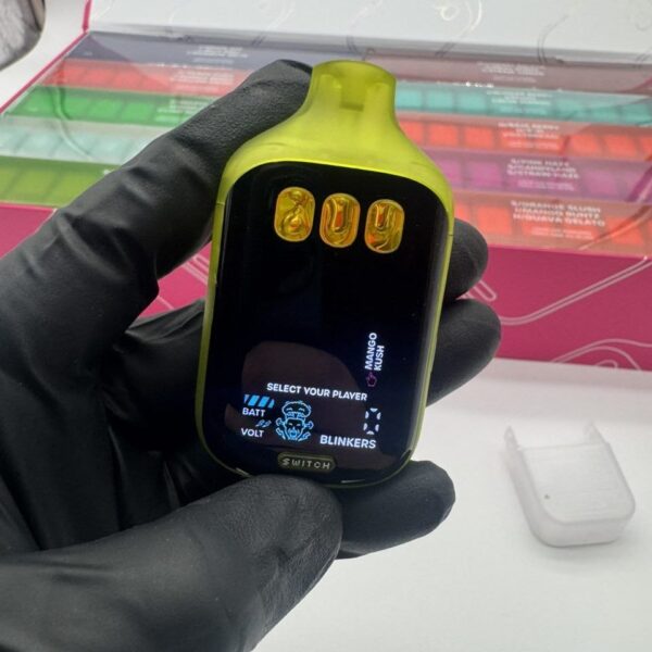 boutiq switch v5 2g disposable