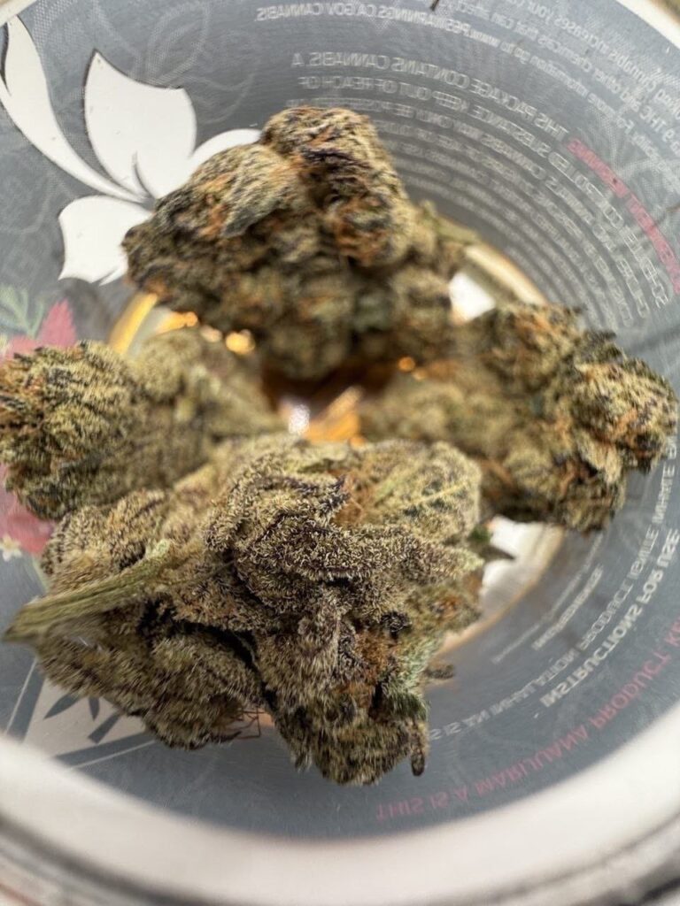 muha meds premium exotic indoor flower 16jars