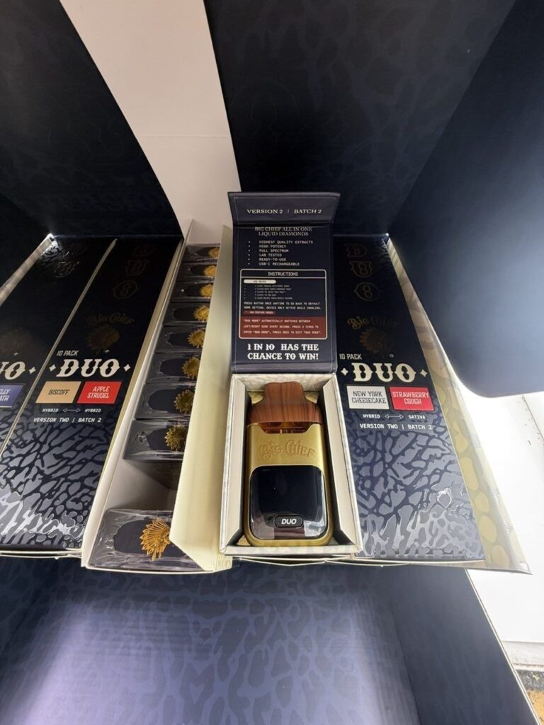 big chief duo v2 batch 2 disposable 2g