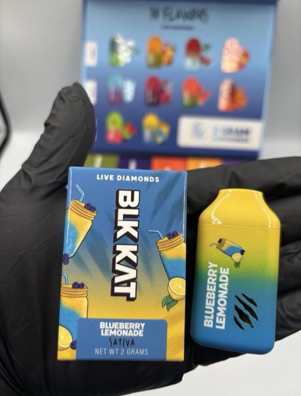 photo_2026-02-01_05-29-52 blk kat 2g disposables