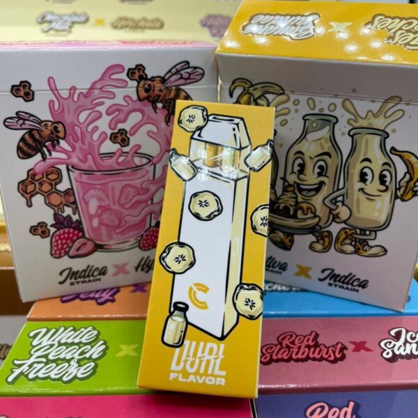 choiceslab 2n1 premium disposable dual chamber