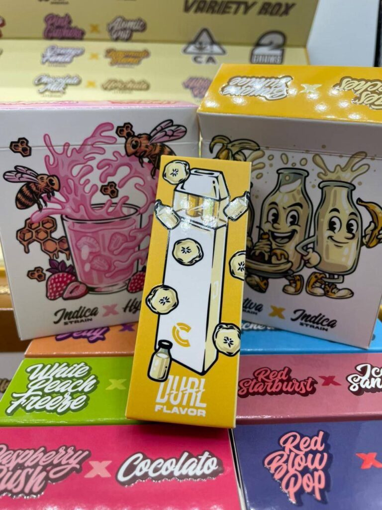 choiceslab 2n1 premium disposable dual chamber