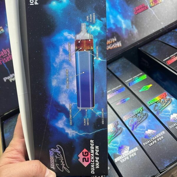 sluggers hit switch 2g disposable dual chamber