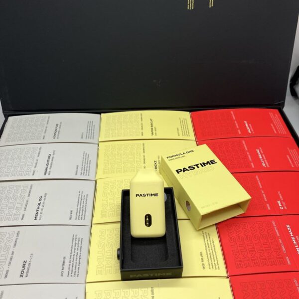 pastime 2g disposable