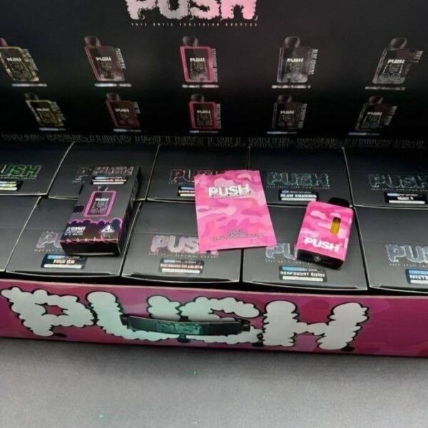 push 2g disposable with screen valentine's edition