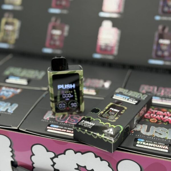 camo push 2g disposable with screen