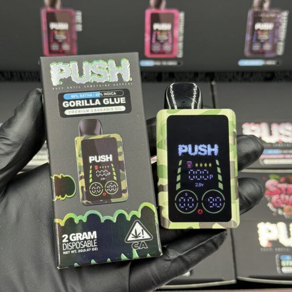 camo push 2g disposable with screen