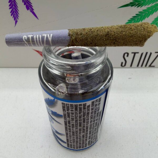 stiiizy 40's preroll multipack premium indoor