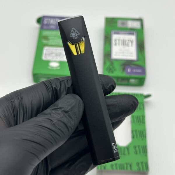 stiiizy premium all in one 1g disposable