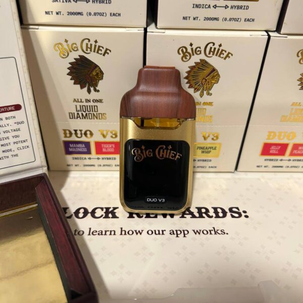 big chief duo v3 2g disposable